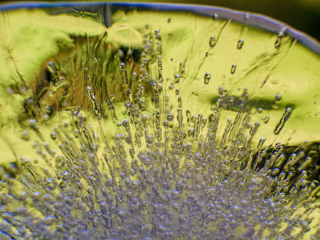 Extreme macro photography of the internal structure and air bubbles of an ice ball, illuminated by the morning sun in a garden in the eastern Andes of central Colombia.の写真素材