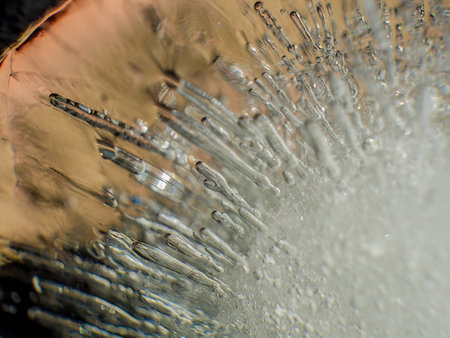 Extreme macro photography of the internal structure and air bubbles of an ice ball, illuminated by the morning sun in a garden in the eastern Andes of central Colombia.の写真素材