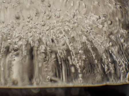 Extreme macro photography of the internal structure and air bubbles of an ice ball, illuminated by the morning sun in a garden in the eastern Andes of central Colombia.の写真素材
