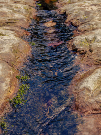 Close-up photography of a little crystal water canal carved by the erosion on a rock, in a  rural road in the eastern Andean mountains of central Colombia.の写真素材