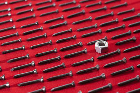 Black steel nails and nut on red background, arranged horizontally, concept of gender equality, be...