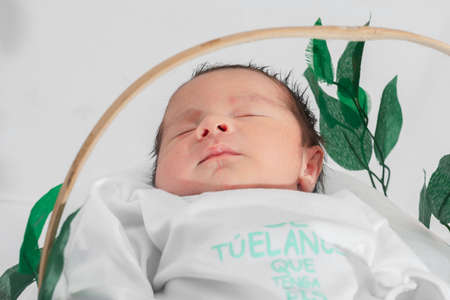 Beautiful newborn baby (4 days old), sleeping in bamboo fiber basket and surrounded by green leaves. close-up top view, healthy doctor conceptの写真素材