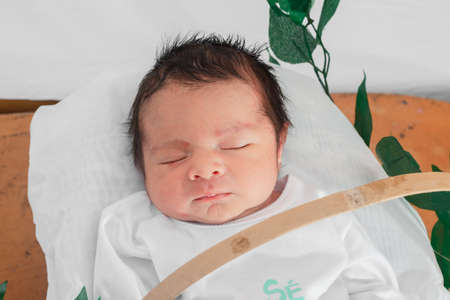 Beautiful newborn baby (4 days old), sleeping in bamboo fiber basket and surrounded by green leaves. close-up top view, healthy doctor conceptの写真素材