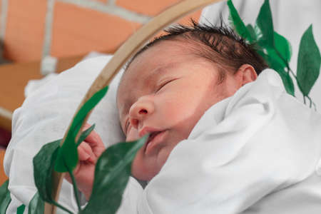Beautiful newborn baby (4 days old) sleeping on his side in bamboo fiber basket and surrounded by...