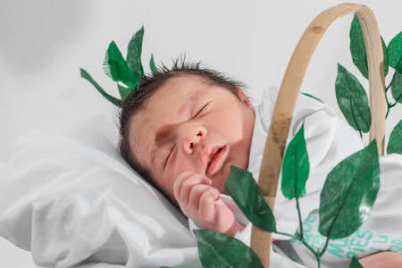 Beautiful newborn baby (4 days old) sleeping on his side in bamboo fiber basket and surrounded by green leaves, healthy medical conceptの写真素材