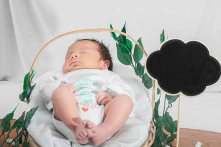 Beautiful newborn baby (4 days old), sleeping in bamboo fiber basket and surrounded by green leaves.の写真素材