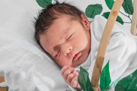 Beautiful newborn baby (4 days old) sleeping on his side in bamboo fiber basket and surrounded by green leaves, healthy medical conceptの写真素材
