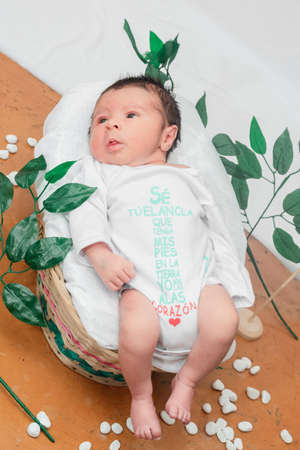 Beautiful newborn baby (4 days old), with eyes open, overhead shot, top view, in bamboo fiber basket and surrounded by green leaves, Healthy medical conceptの写真素材