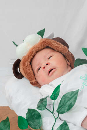 Beautiful newborn baby (4 days old), puppy hat, with open eyes, in bamboo fiber basket and surrounded by green leaves, Healthy medical conceptの写真素材