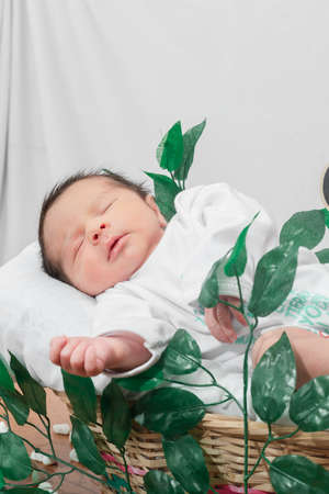 Beautiful newborn baby (4 days old) sleeping on his side in bamboo fiber basket and surrounded by green leaves, healthy medical conceptの写真素材