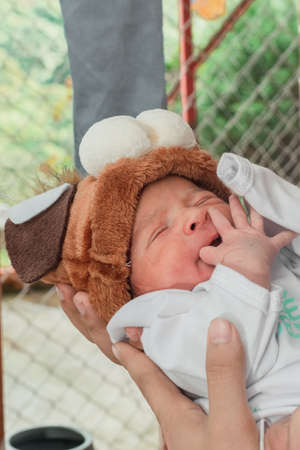 Beautiful newborn baby (4 days old), with hat and puppy shoes, in bamboo fiber basket and surrounded by green leaves, Healthy medical conceptの写真素材