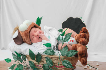 Beautiful newborn baby (4 days old), with hat and puppy shoes, in bamboo fiber basket and surrounded by green leaves, Healthy medical conceptの写真素材