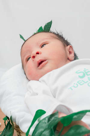 Beautiful newborn baby (4 days old), lying with his eyes open, disheveled, in bamboo fiber basket and surrounded by green leaves, Healthy medical conceptの写真素材