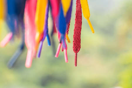 shoelaces tied to a wire, hanging down, with white background, point focusの写真素材