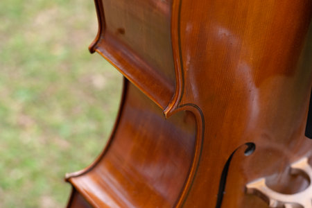 close-up of a cello's neck cutout, ready for a musical performanceの写真素材