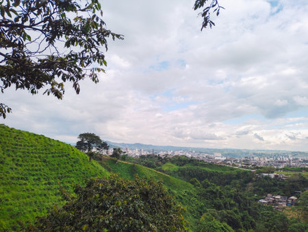 view of a natural Colombian coffee landscape, in the background the city of Pereira, Colombia.の写真素材