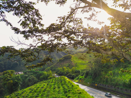 beautiful sunset in the Colombian coffee region. La Romelia-El Pollo variant, road that crosses through the mountains.の写真素材