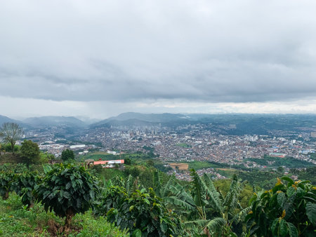 panoramic view of the city of Pereira-Colombia seen from the top of a mountain in the hours of the cold cloudy morning and with a lot of fog around.の写真素材