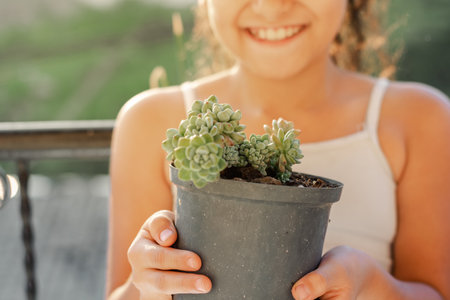 detailed view of a succulent plant in a garden pot being held by a little latin girlの写真素材