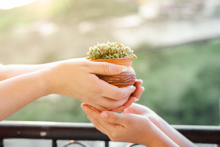 close-up of a woman's hands handing a small plant to her daughter as a gift.の写真素材