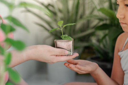 hand of a latin mother handing a small daughter a garden plant.の写真素材