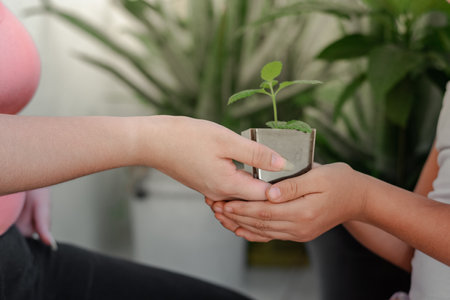 close-up of a girl's hands receiving a small potted plant. ecology conceptの写真素材