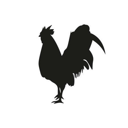 illustration vector of a rooster, very suitable for flyer design, web design or as an object insert, or just a vector collection, also very suitable for animal or culinary themed designsのイラスト素材