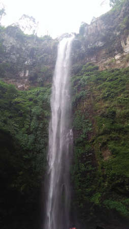 waterfall in beautiful and fresh nature with green and lush treesの写真素材
