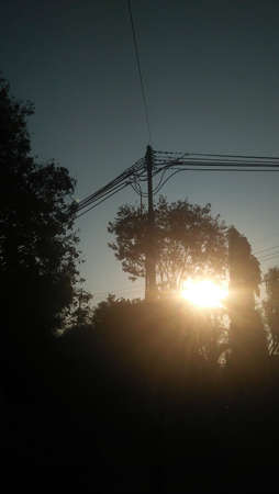 the leaves on a beautiful tree with a cool skyの写真素材