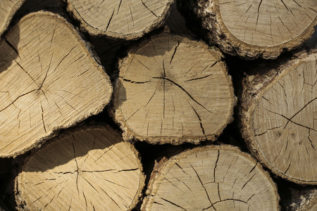 Natural wood background, wood closeup