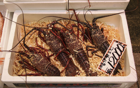 KANAZAWA, JAPAN- MARCH 28,2019: Fresh lobsters on Omicho Ichiba Market,covered food market located in Kanazawa, Japan.のeditorial素材