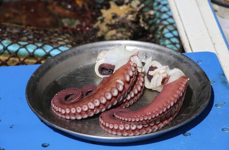 Fresh octopus tentacles on a platter on a market in Jeju Island