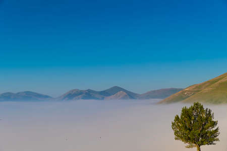 The plains of Castelluccio covered by fog at dawn / Monti Sibillini national park / Umbriaの写真素材