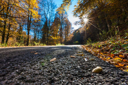 The road of Monte Pizzoc on the Cansiglio Plateauの写真素材