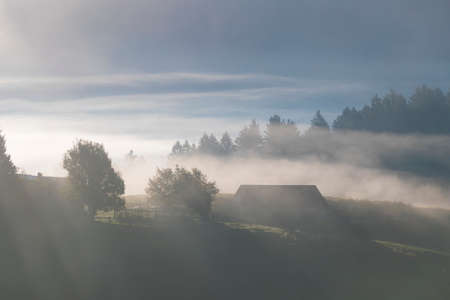 The fog envelops the Cansiglio plateauの写真素材