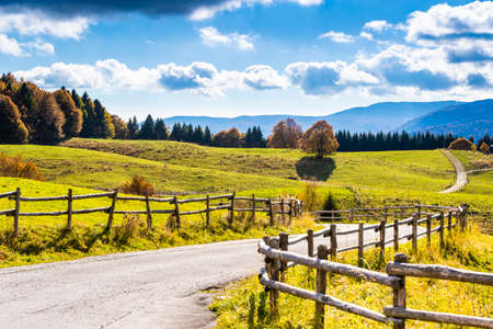 Autumn on the Cansiglio plateau / Alpago / Indes hill