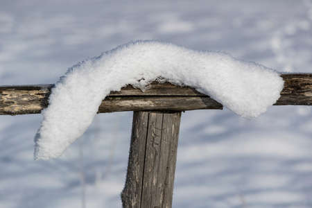 The Cansiglio plateau in winterの写真素材