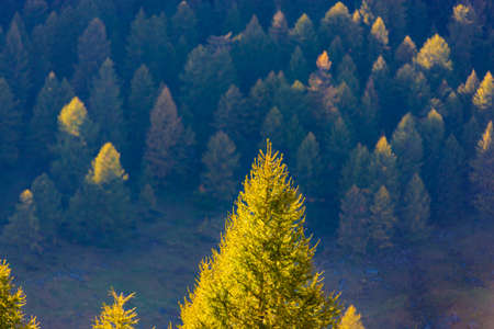 Autumn in the Dolomites / Valles Passの写真素材