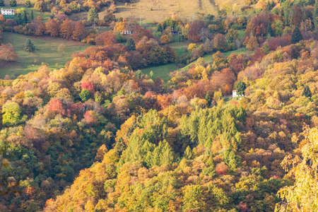 The spectacular colors of autumn / Mount Cesen