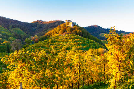 The Prosecco Hills in the Veneto region in autumn