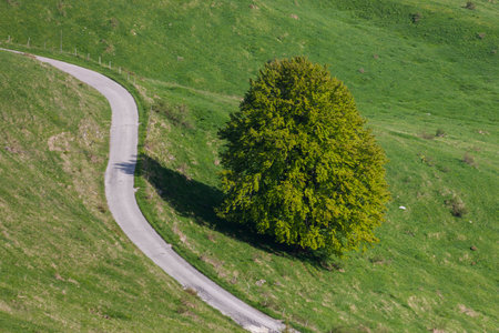 Mount Grappa in Italyの写真素材