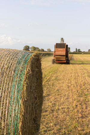 The harvest of hay to get to the milk productionの写真素材