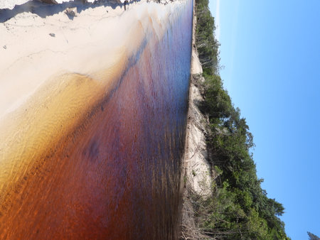 Red river in the middle of the jungle and nature with a white sand beach and blue skyの写真素材