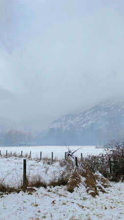 snow in the village in winter seasonの写真素材