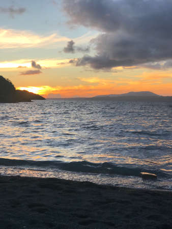 the orange tree sunset on the beach at different timesの写真素材