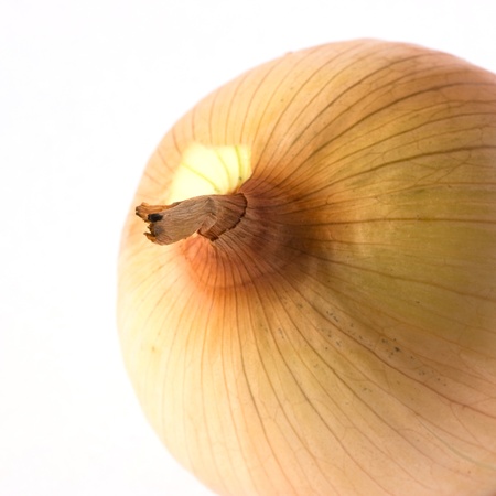 Ripe onion on white backgroundの写真素材