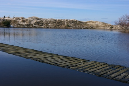 A path across the flooded dunesの写真素材
