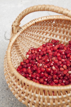 Wild strawberry in a basketの写真素材