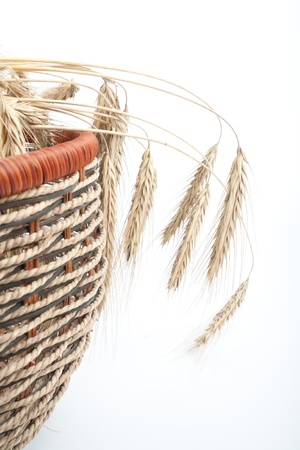 Wheat isolated on white backgroundの写真素材