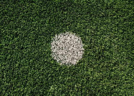 Lines on soccer field green grassの写真素材